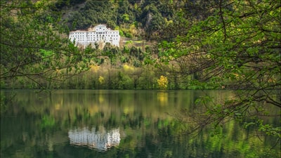 在白天，靠近绿树和水体的白色混凝土建筑